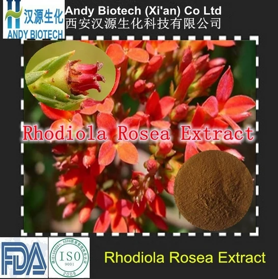 

5packs High Quality Rhodiola Rosea Extract 3% Rosavins 400mg x500caps free shipping