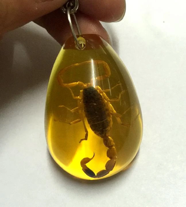 12 anahtarlik gercek serin akrep ornegi seksi sari renk stil aksesuarlari accessories spikes accessories socceraccessori aliexpress 12 anahtarlik gercek serin akrep ornegi seksi sari renk stil aksesuarlari accessories spikes accessories socceraccessori aliexpress