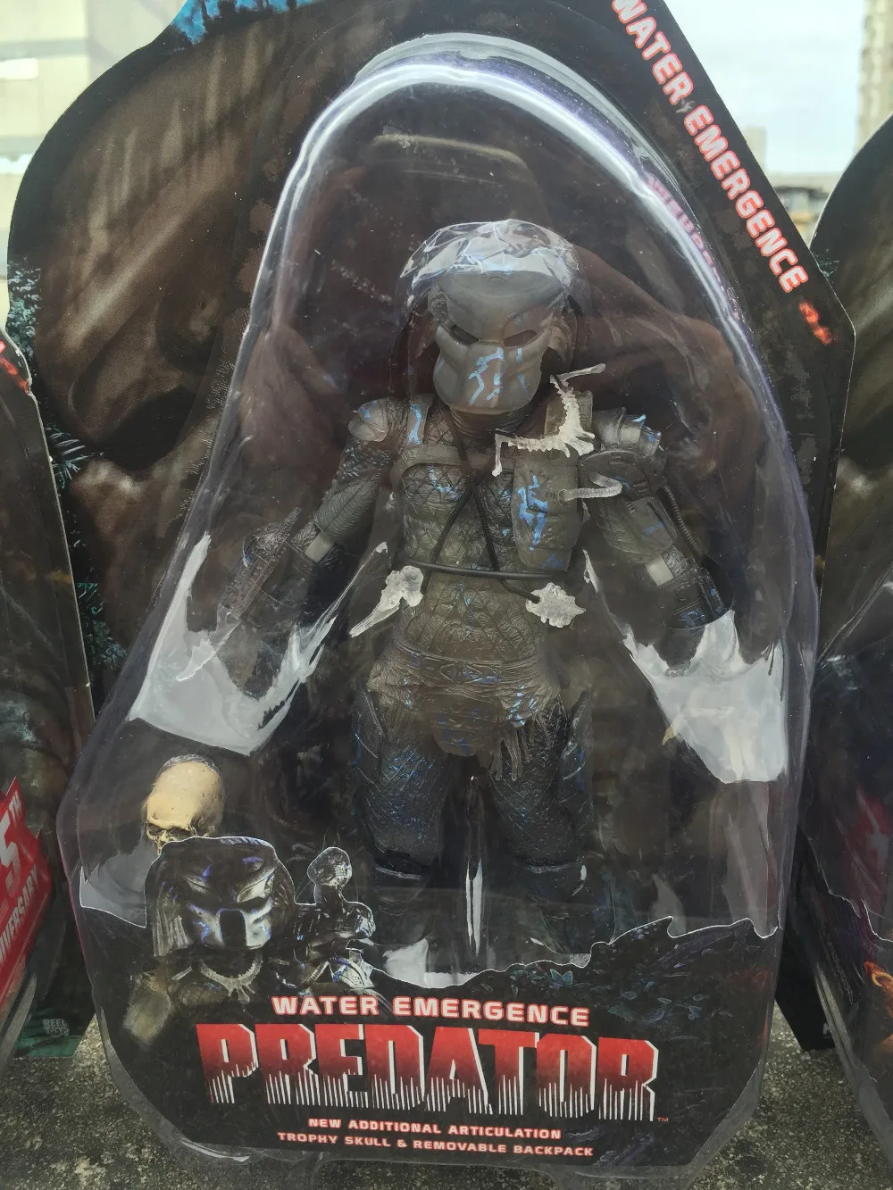 IMG_5775