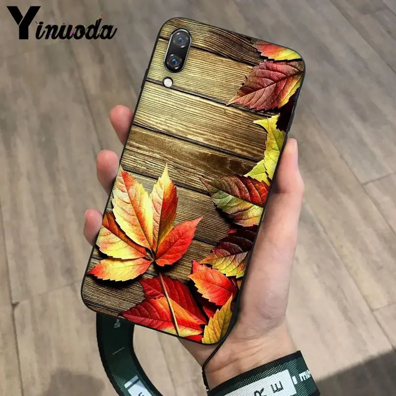 Deciduous maple leaf