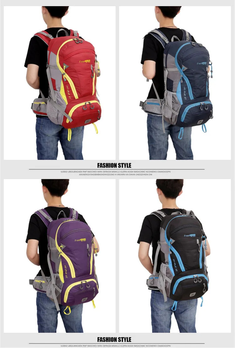 3249222655_317209040_