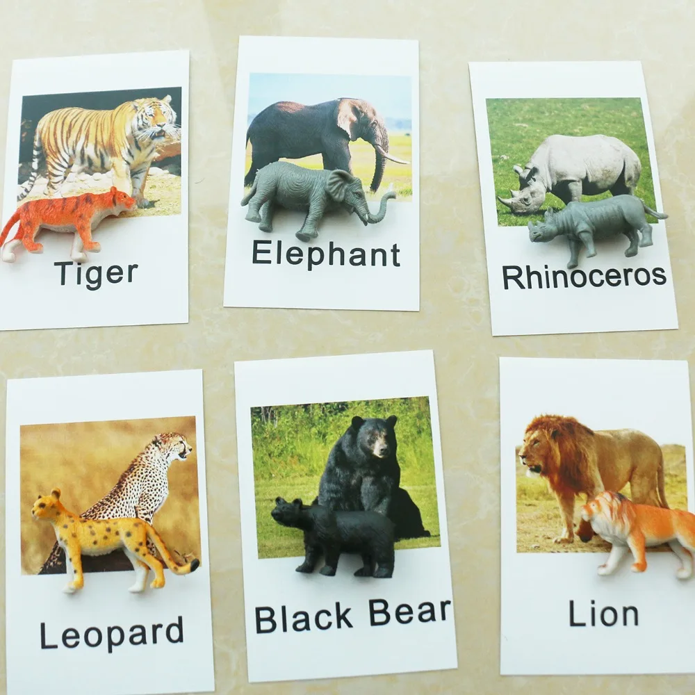 Baby Toys Montessori Cards Animal Language Preschool Educational Learning Toys For Children Juguetes Brinquedos MI3064H