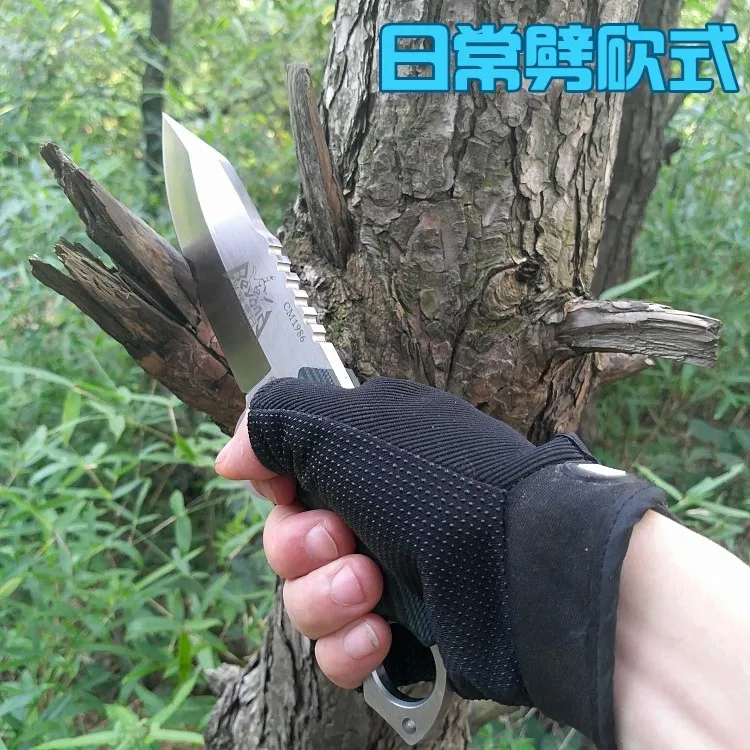 TB2xIPasFXXXXbNXpXXXXXXXXXX_!!227068467