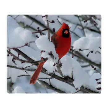 

Cawn Soft Fleece Throw Blanket Throw on Sofa Bed Plane Plaids Solid Bedspreads Home Textile