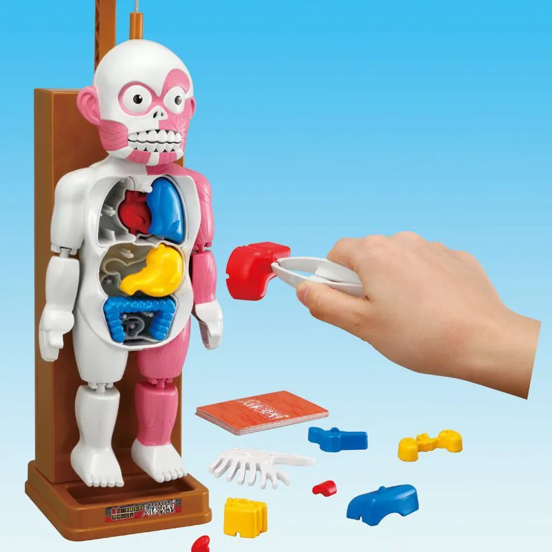 The human body internal three dimensional puzzle terrorist assembles