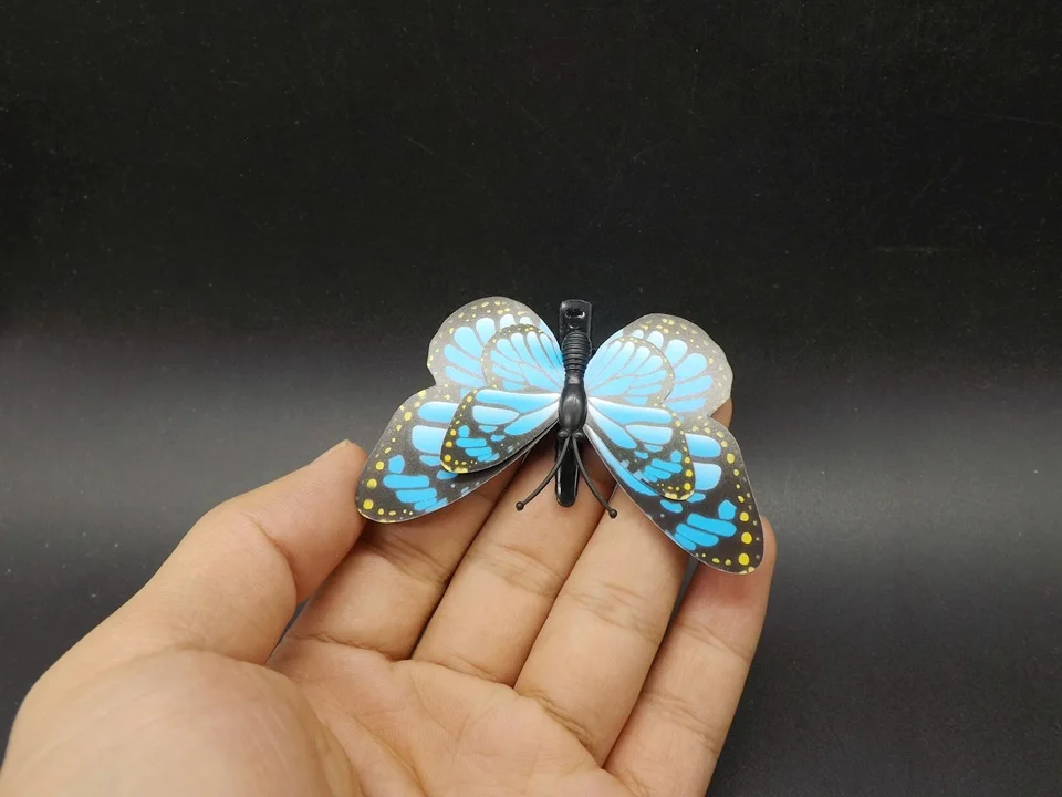 I282-Butterfly (3)