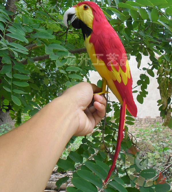 

30x7x15cm feathers parrot bird model toy,polyethylene&furs handicraft,decoration baby toy gift,d467
