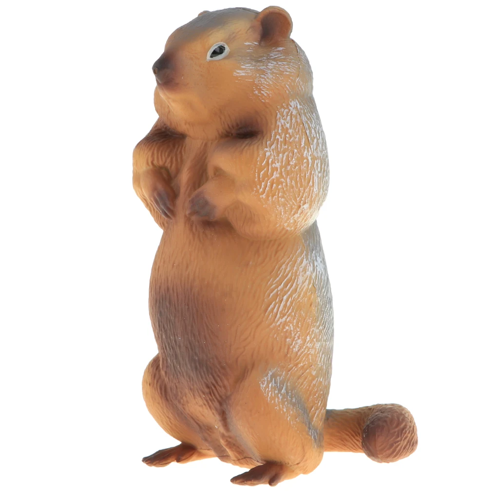 2pcs Simulation Wildlife Animal Model Figurine Kids Science & Nature Toy Collection Home Decoration Party Favors- Marmot