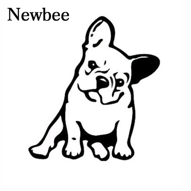 hond franse bulldog