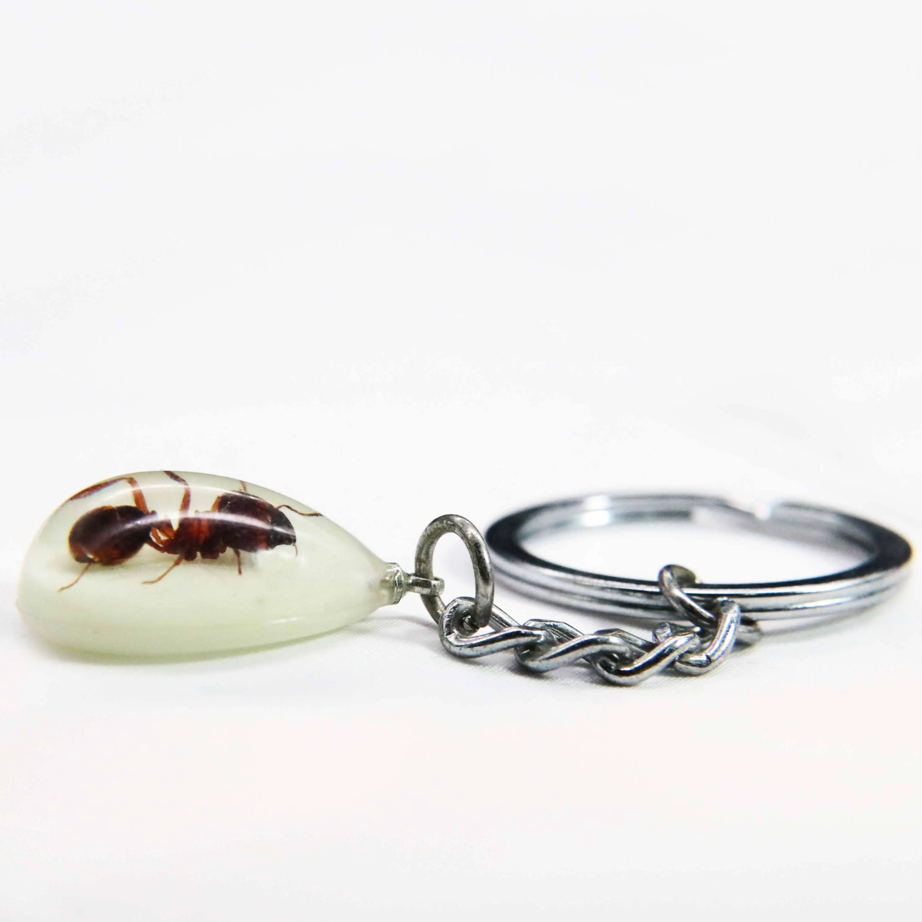 Real glow in the dark insect ant drop shape art jewelry key rings