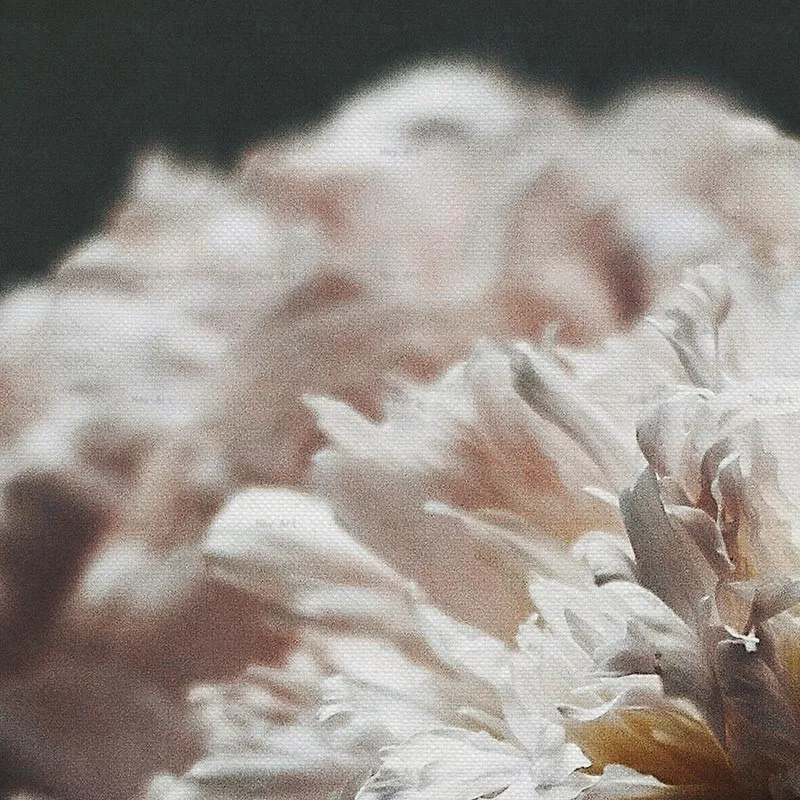 WP0266-6