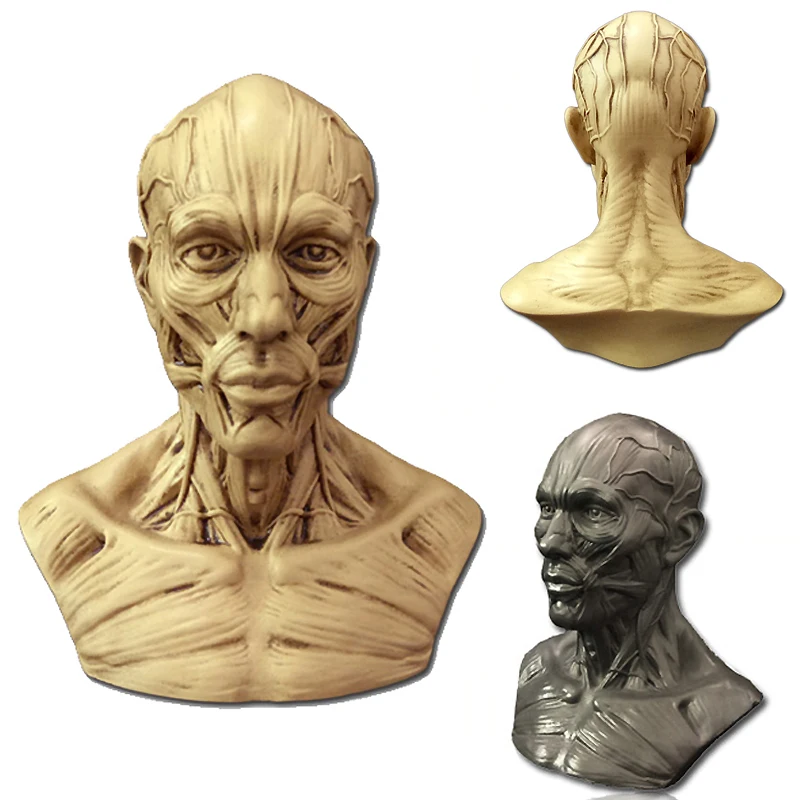 3D Искусство Живопись штукатурка статуя силиконовая форма череп голова человека