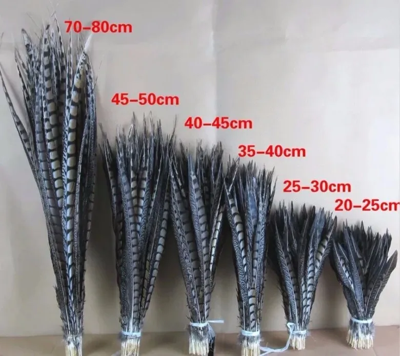 100pcs40-45cm16-18inch amherst перья фазана Природные Перья Шлейф объемные украшения из перьев