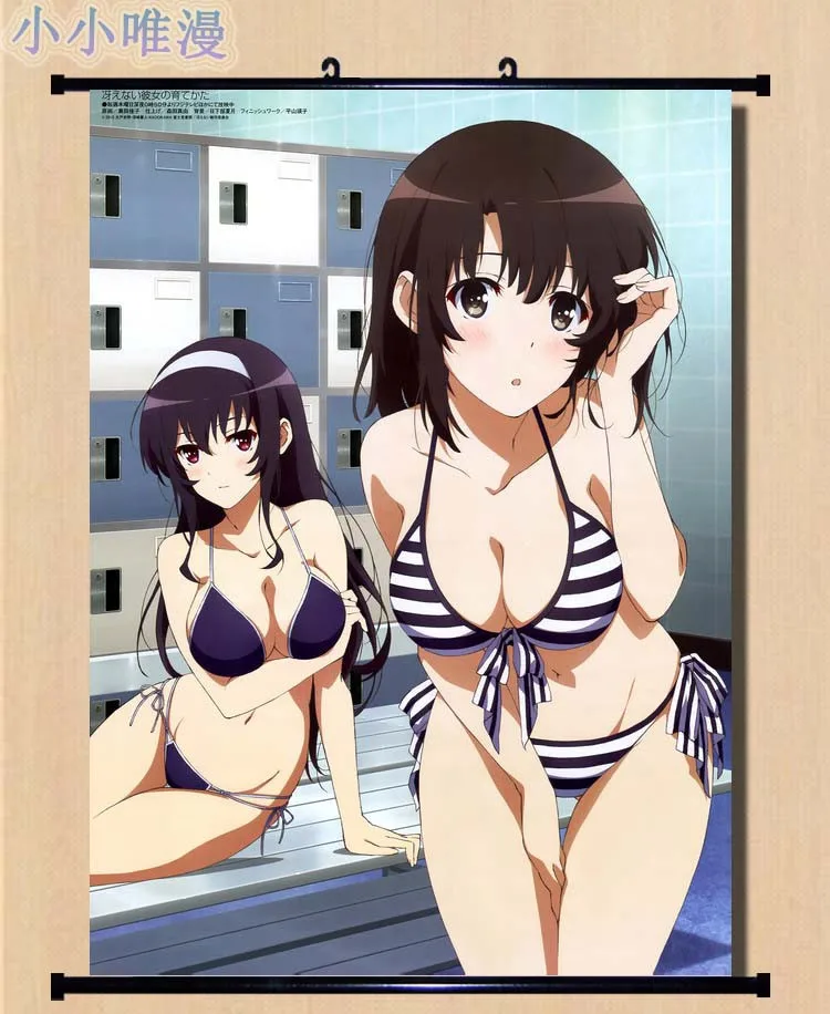 Японский аниме Saekano Saenai Hiroin no Sodatekata Hyodo Michiru & Hashima Izumi домашний Декор настенный