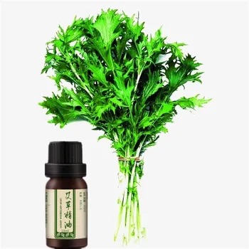 

powerful acne remover! 100% Pure Argy wormwood essential oil for acne treatment and Remove whelk shrink pore face care 10ml