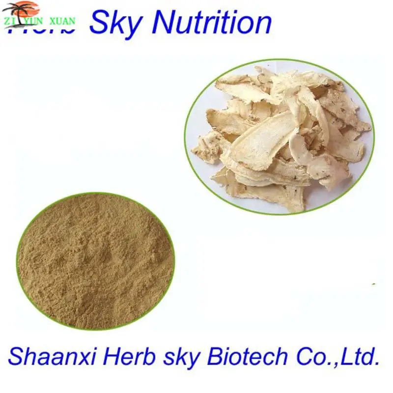 Angelica Sinensis Extract Powder Dong Quai Root Extract Chinese 
