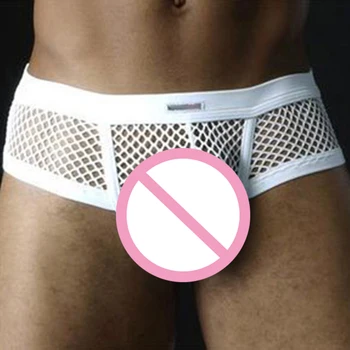 

Men Mesh Underwear Sexy Briefs Transparent Summer Breathable Lingerie Panties Shorts Cool Low-rise Net Mens Underpants