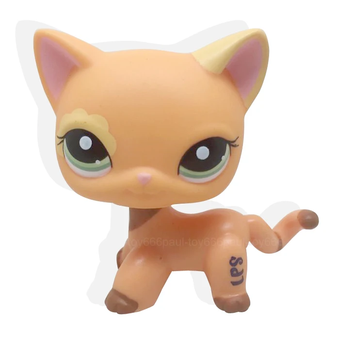 

#1643 Little Pet RARE Short Hair Cat Kitty Orange Green Eyes