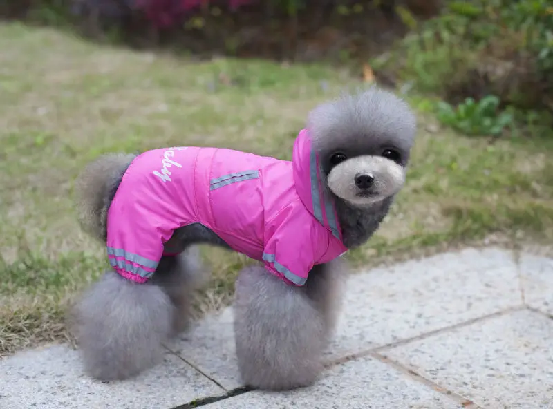 Y67_2017_New_Pet_Dog_Raincoat_Jacket_Clothes_Cute_Puppy_Dogs_Cats_Waterproof_4_legs_Jumpsuit_Rainwear_Teddy_dog_Slicker_ (11)