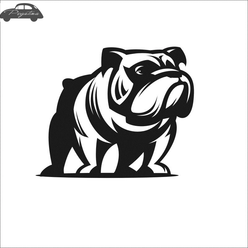 Pegatina Car Dog Sticker Pet Shop Decal Posters Vinyl Wall Art Decals Quadro Parede Decor Mural Pet Shop Sticker
