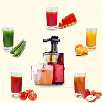 

RU250W 60RPM Stainless Steel Masticating Slow Auger Juicer Fruit and Vegetable Juice Extractor Compact Cold Press Juicer Machine