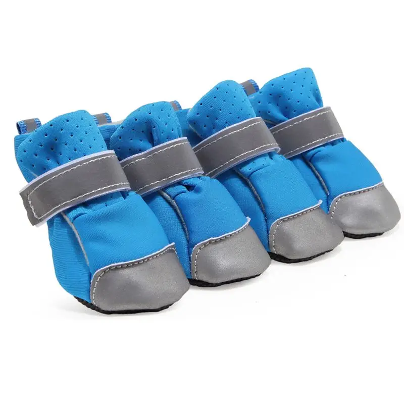 slip on shoes for dog walking