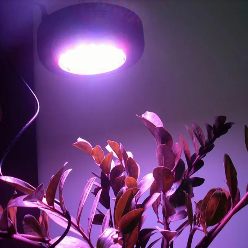 UFO Hydroponic LED Grow Lights 75W for Indoor Plant 25pcs ...