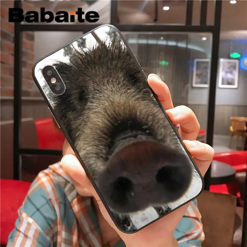 Wild Boar pig animal