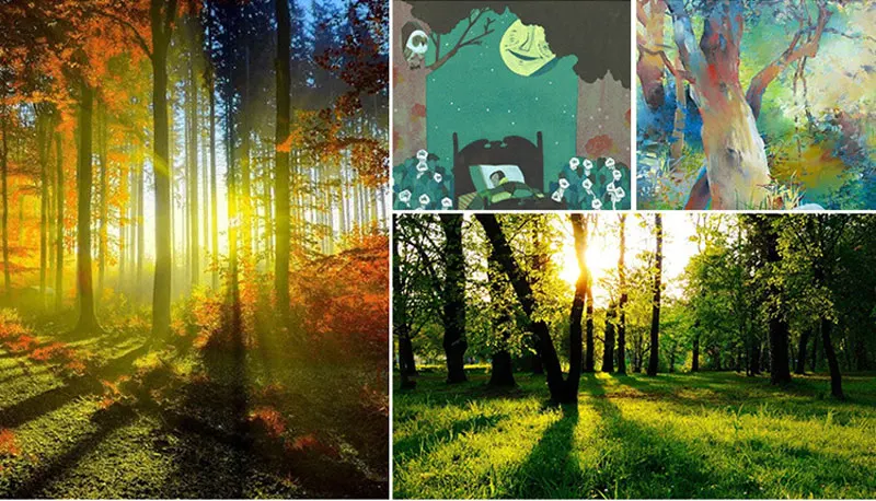 TB2W2LFf04opuFjSZFLXXX8mXXa_!!682306762