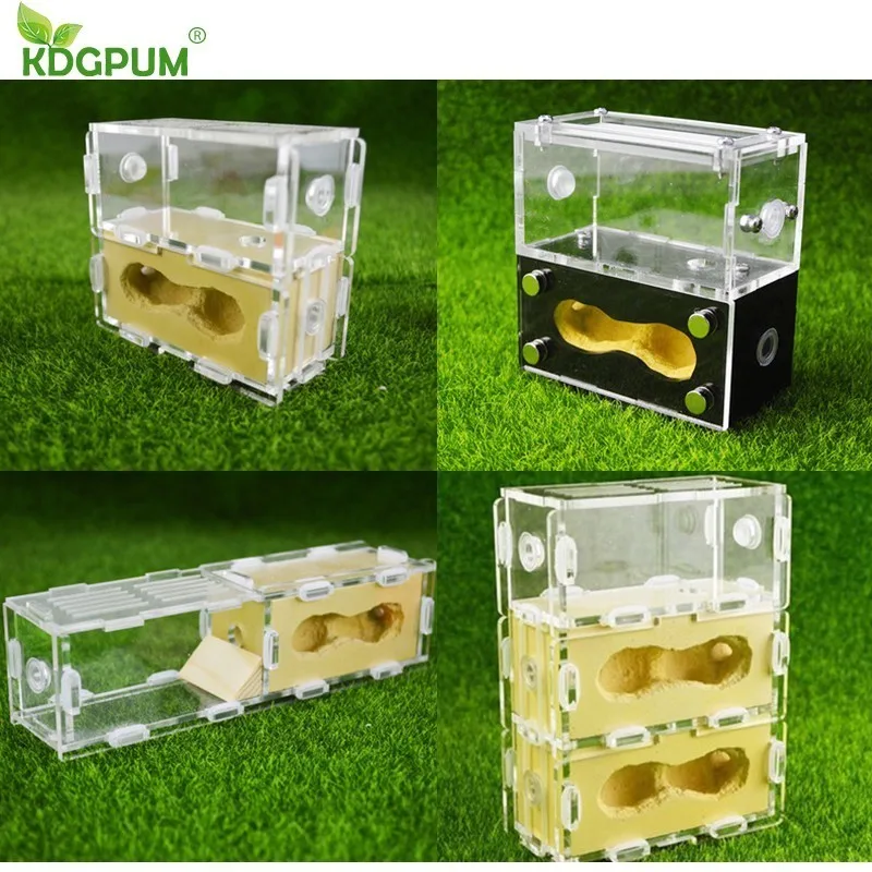 

KDGPUM New Design Ant Nest Hybrid Nest Ants Farm Ant Feeding Box Acrylic Plaster Combo Science Nature Ant Colony Small Pet Cages