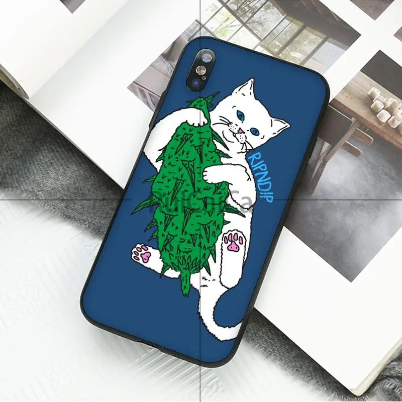 Art middle finger cat