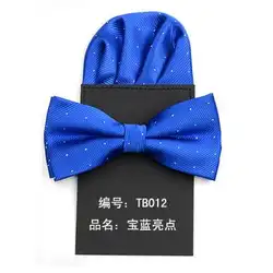 HOOYI 2019 галстук бабочка комплект Галстуки для мужчин бумажный носовой платок