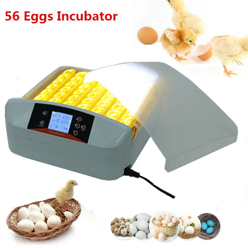 Automatic 56 Eggs Poultry Incubator High Hatching Rate Incubators