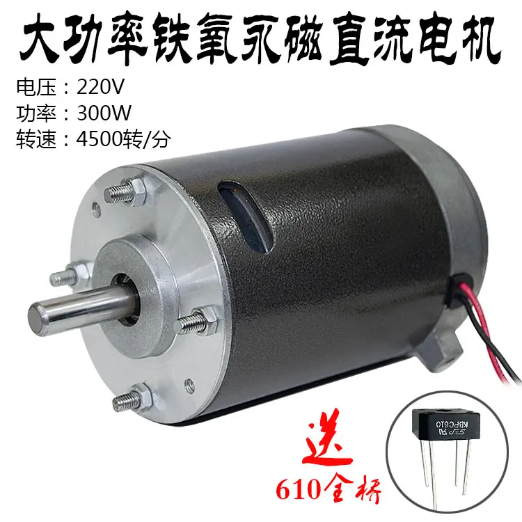 Permanent DC 220V 300W high power double ball bearing motor