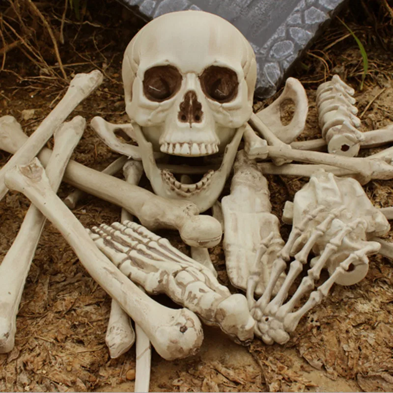halloween skeleton decoration