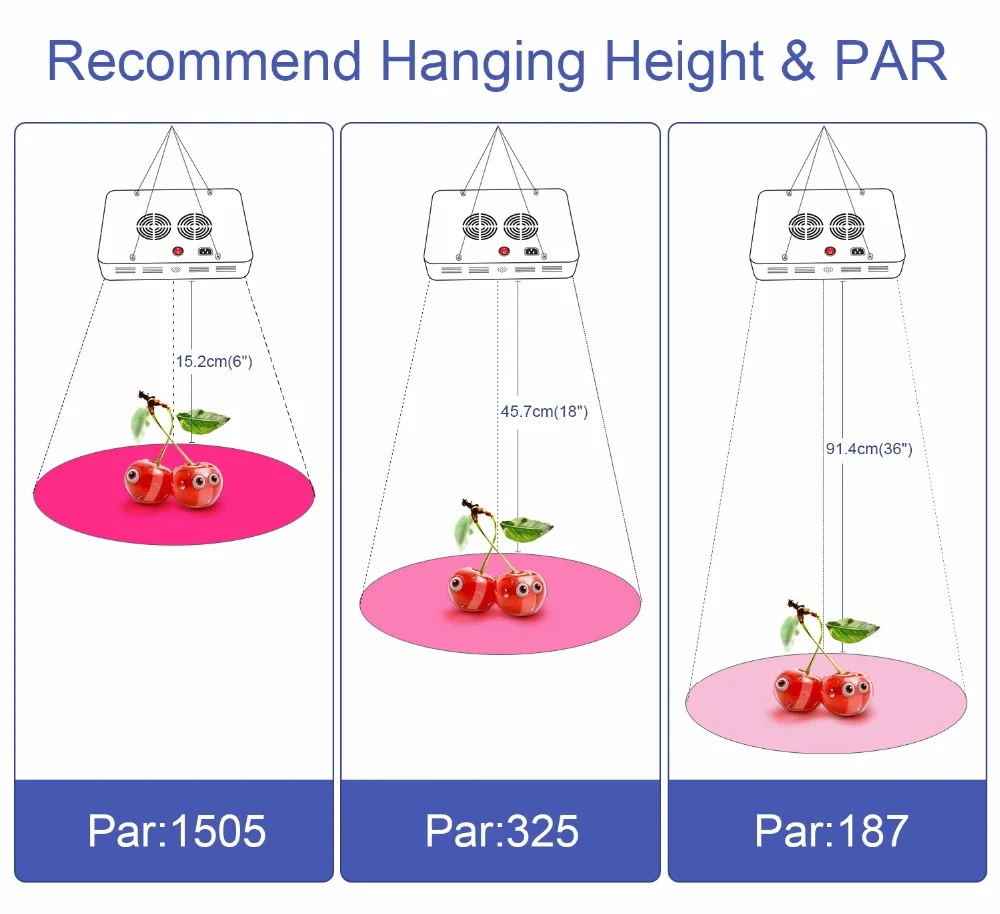 5.PAR