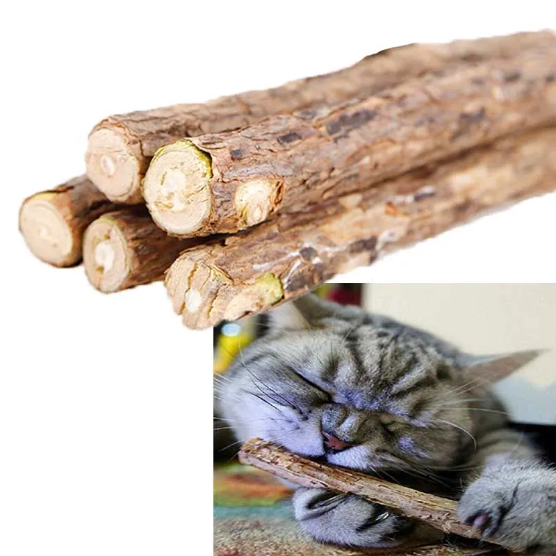 

5PCS Cat Cleaning Teeth Pure Natural Catnip Pet Cat Molar Chew Sticks Stick Silvervine Actinidia Cat Snacks Sticks Tooth Care
