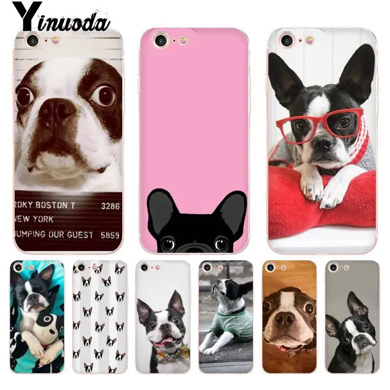 Прозрачный чехол для телефона Yinuoda Animal boston terrier dog iPhone 8 7 6 6S Plus X 5 5S SE XR XS XSMAX11 11pro