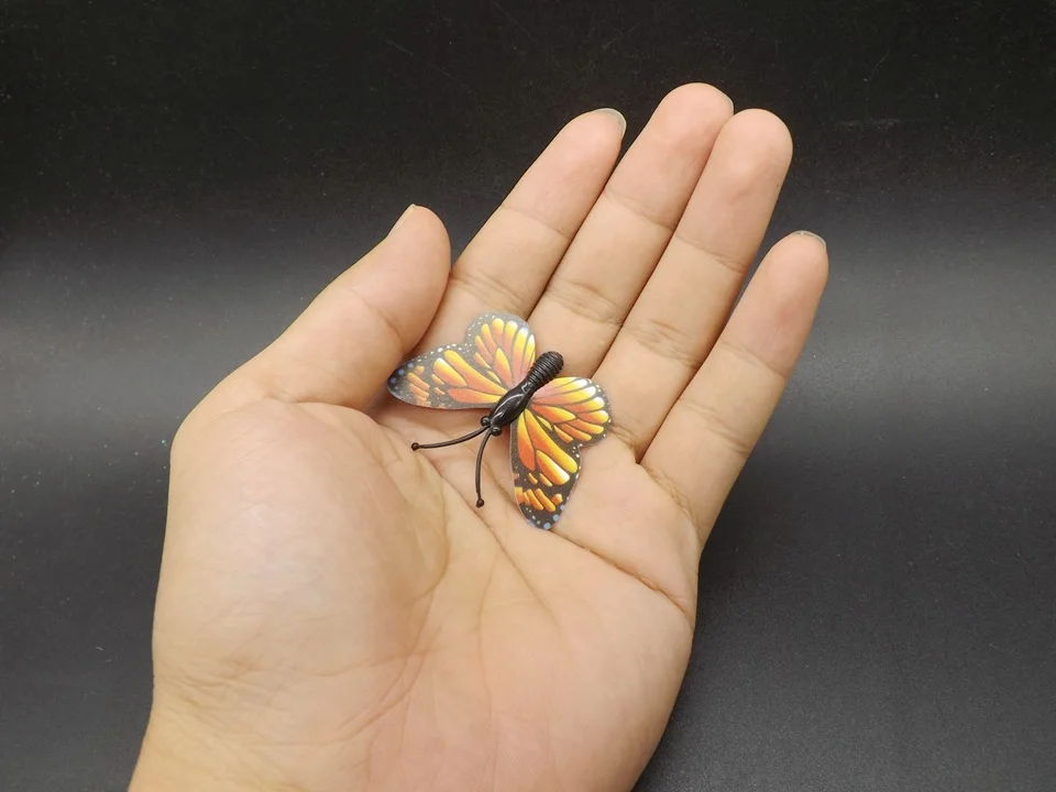 I258-Butterfly (5)