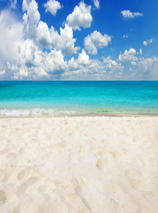 

seaside beach backdrop for photo studio outdoor background backdrops D-3623
