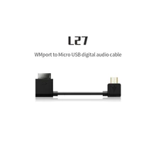 FIIO L27 WMport Micro USB цифровой аудио кабель для SONNY ZX300A Q1 Mark II Q5