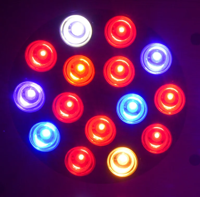 UN`OXW`$BWNO0{]}DRA}290