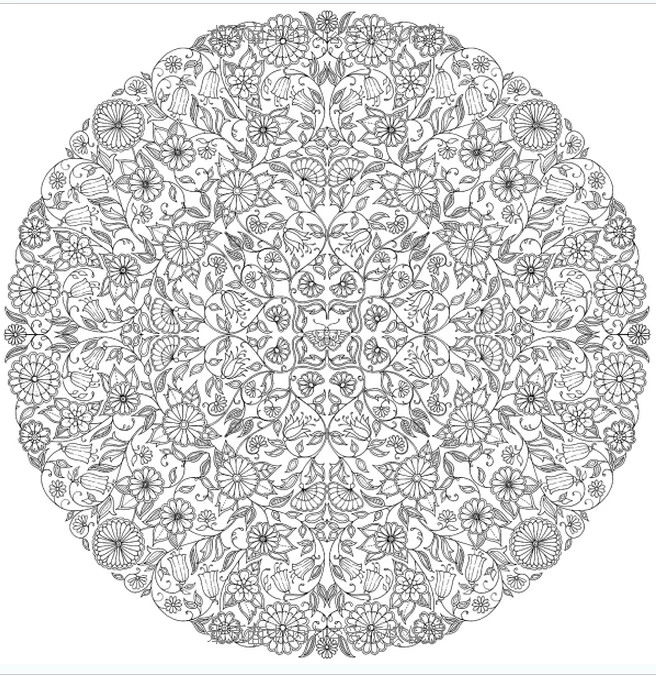 Booculchaha secret Garden,jardim secreto book ,coloring books for ... Booculchaha secret Garden,jardim secreto book ,coloring books for ...