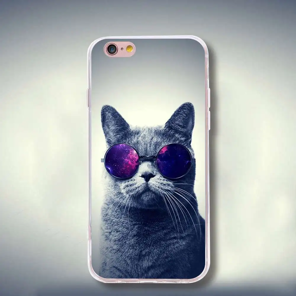 чехлы для телефонов с котами. чехол с котом в очках. кошка с айфоном. кошечка с айфоном. котенок с айфоном.
