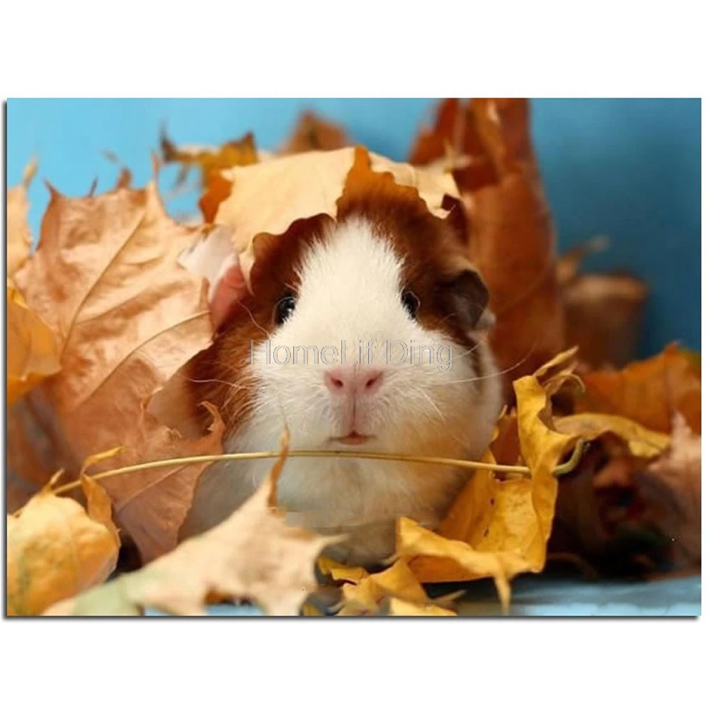 DIY diamond painting animals Cute guinea pig cross embroidery stitch kits square drill full rhinestone patchwork for needlework | Дом и сад