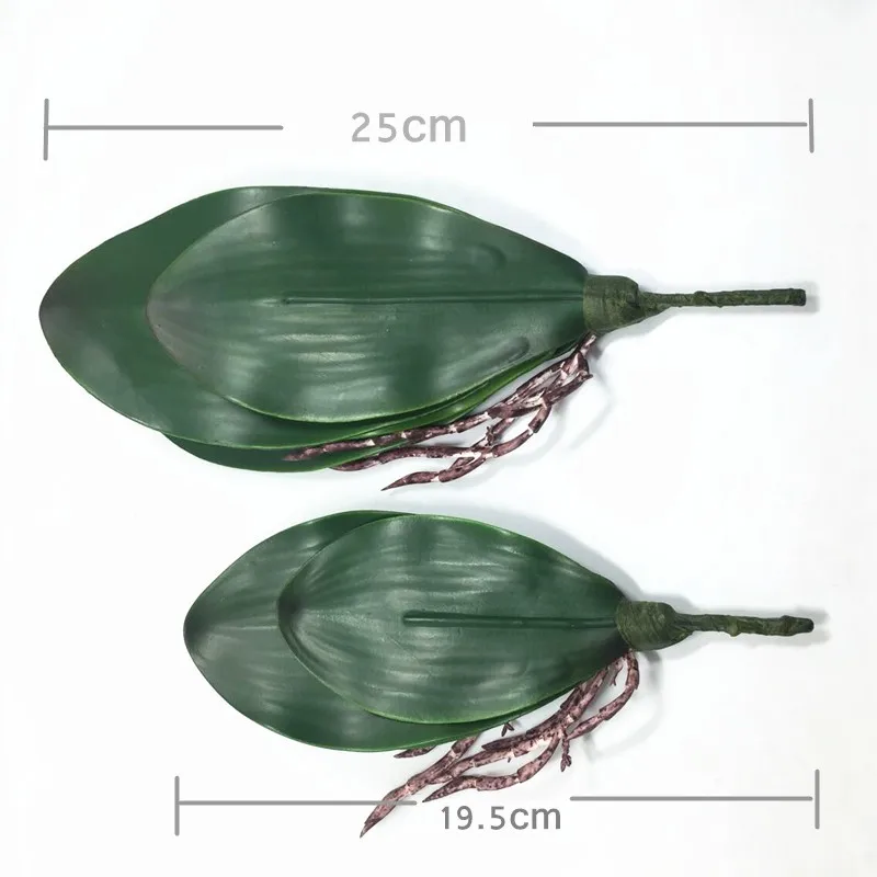 HTB1Cm9zMpXXXXXkXFXXq6xXFXXXB