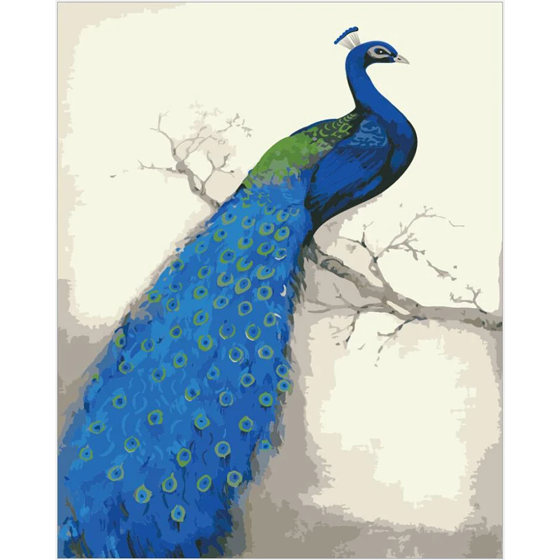 Yunxi Art With Diy Frame Bird Peacock Oil Paintings By Numbers