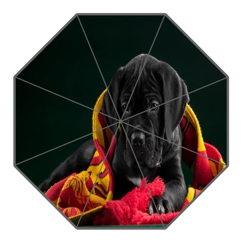 7 Custom Cane Corso Dog Umbrellas Polyester Fabric High Quality Sunny And Rainy Umbrella Non-Automatic Umbrella For Adults - Цвет: 7