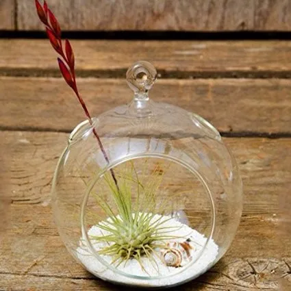 18PCS-Lot-80mm-hanging-tealight-holder-glass-planter-terrarium-glass-candle-holder-wedding-candlestick-wedding-decor (1)