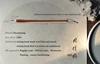 Pure handmade wool hair wool and weasel writing brush, Seal character Official script Yan style Medium regular script 1 pcs ► Photo 2/5